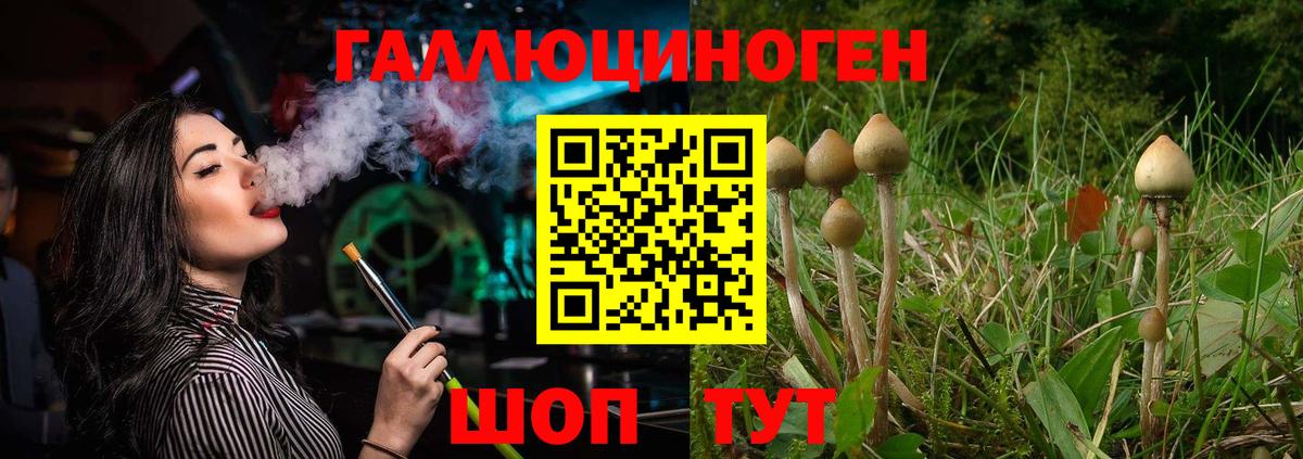 Галлюциногенные грибы прущие грибы  Вход с VPN  Майкоп 